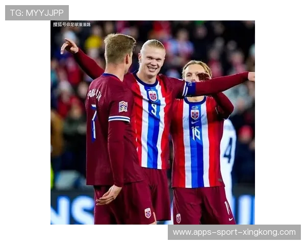 世界杯哈兰德正面对抗击穿后防形成破门